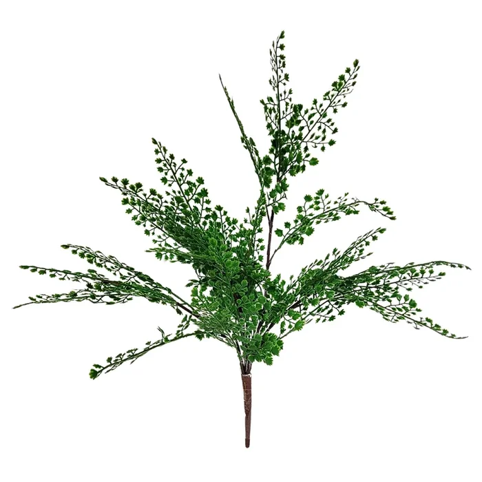 19″ Maiden Hair Fern Plant – Dark Green | XJE
