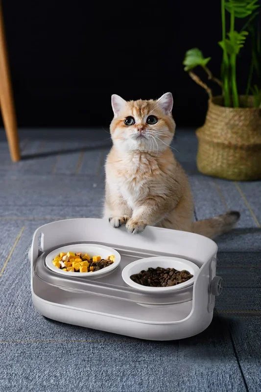 3-level Adjustable Height Double Bowls Pet Feeder Stand for Cat Dog Puppy