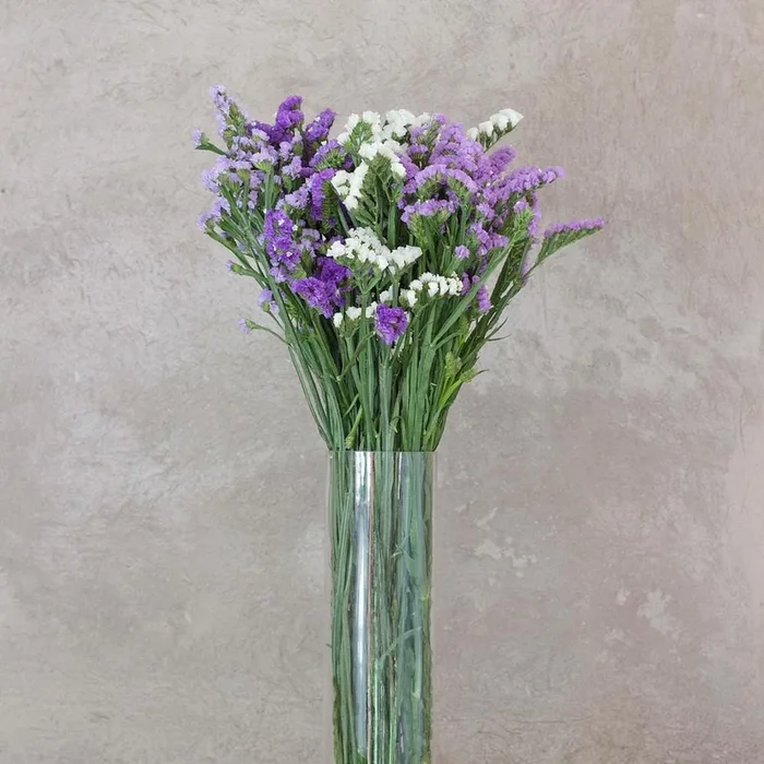 Assorted Statice Filler Fresh Cut Flower