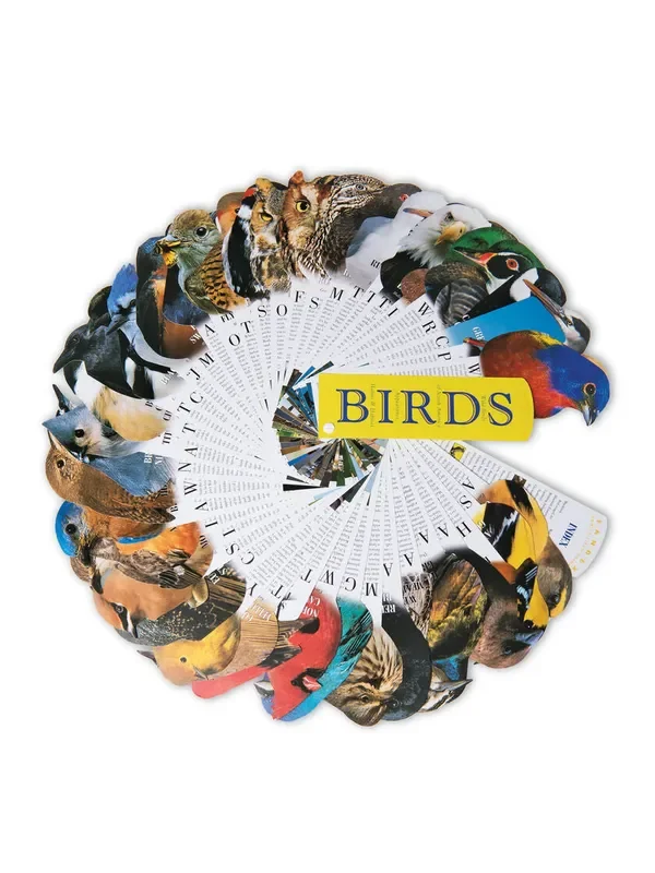 Birds Fandex