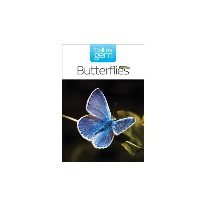Butterflies and Moths