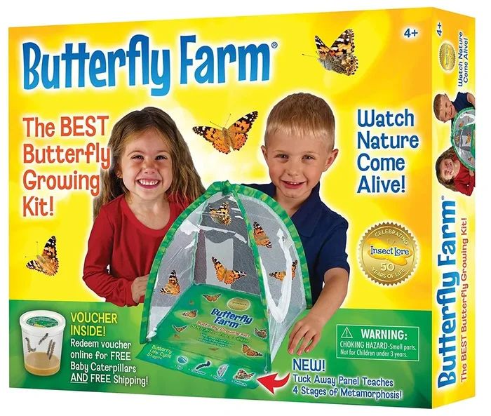 Butterfly Farm