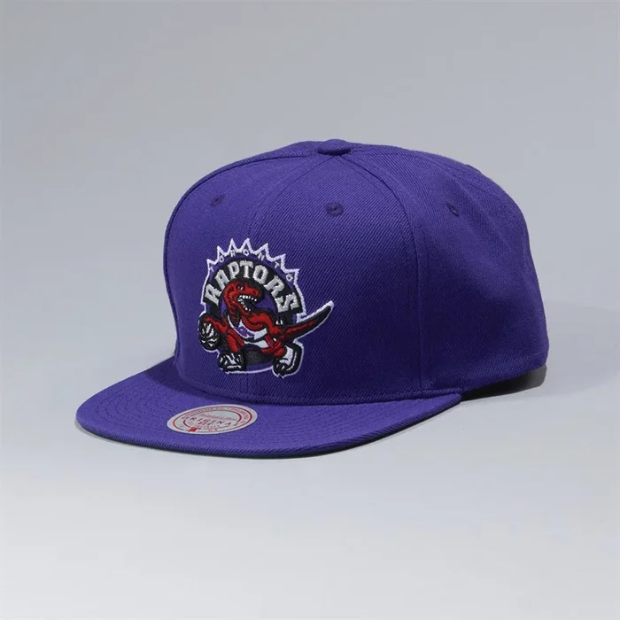 Buy Mitchell & Ness Toronto Raptors NBA Team Ground Snapback Cap Purple/Purple/Green