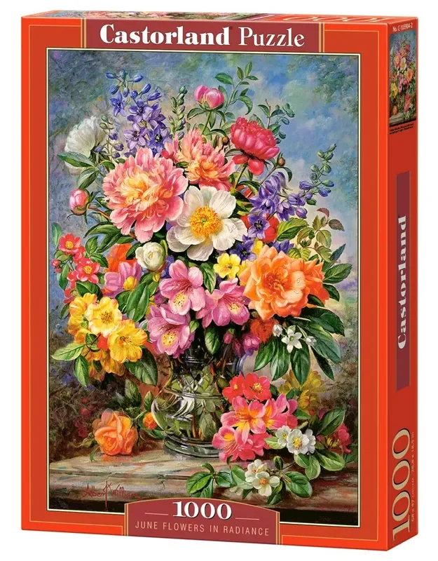 CASTORLAND 1000 Piece Jigsaw Puzzle, June Flowers in Radiance, Flower and Plants Puzzle, Painting Puzzle, Adult Puzzle, Castorland C-103904-2
