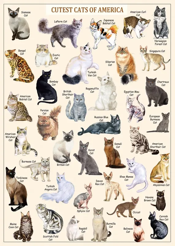 Cat Puzzles for Adults 1000 Pieces and Up,Vintage Kitty Puzzles for Adults, Animal Feline Jigsaw Puzzle Kittens