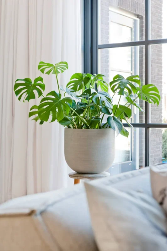 Cody Pot Horizontal Ridged Light Grey Medium