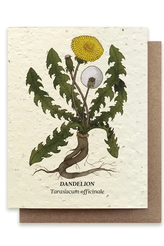 Dandelion Seeded Paper Card