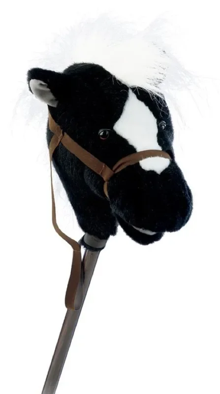 Easy Ride ‘Um Black Horse