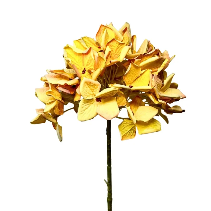 Faux Dried Meadowlands Hydrangea Stem 22″ – Orange | YSE