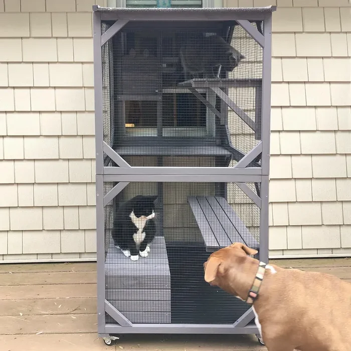 GUTINNEEN Cat House Mobile Catio for Outdoor Enclosure with Waterproof Roof Feral Cat Cage On Wheels,Bird Cage with Upgraded Resting Box,70.9″