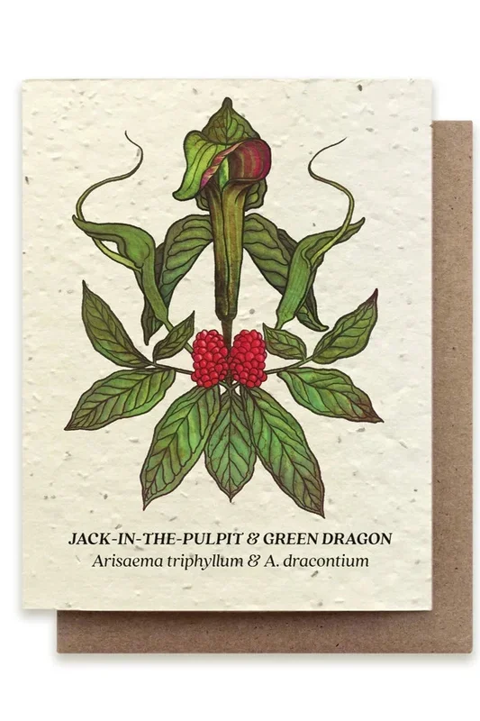 Jack-in-the-Pulpit Seeded Paper Card