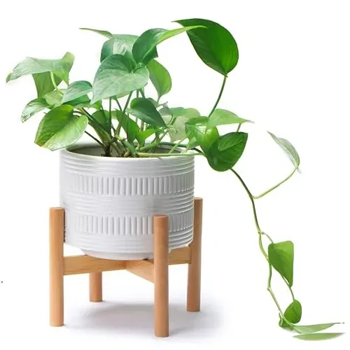 Kurrajong Farmhouse White Plant Pot with Stand | 7.25″ Ceramic Planter Pot with Wood Stand for Indoors | Bamboo Plant Stand with Pot. Plant not Included | White Planter Pot is 7.25″ Wide x 5.75″ high