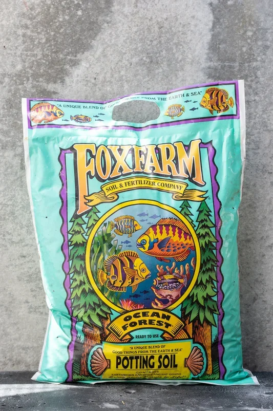 Ocean Forest 12qt
