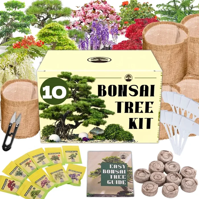 Premium Bonsai Tree kit – 10 Types Bonsai Tree Growing Set for Starter with Soil, Pots, Scissor, Plant Makers, Grow Greenery Indoor, Beginner Planting Kit Plant Gifts