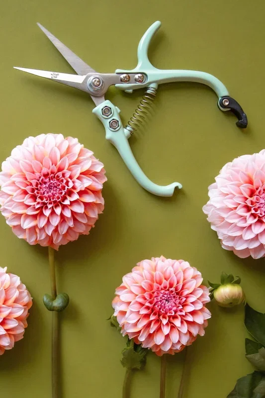 Pruning Shears Lagoon