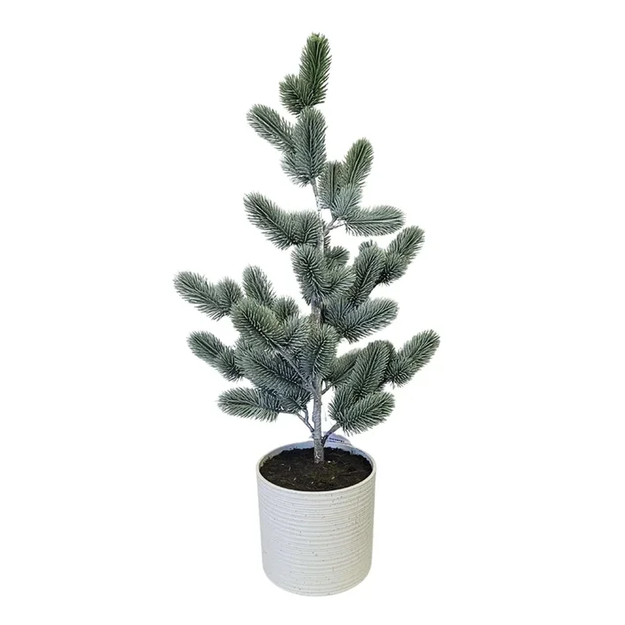 Real Touch Wild Spruce Potted Tree 26″ | XJ