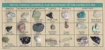 Rocks fossils… of U.S.A.