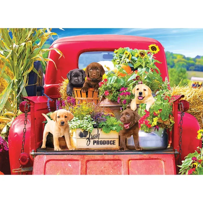 RoseArt – Kodak Premium – Stowaways – 1000 Piece Jigsaw Puzzle for Adults