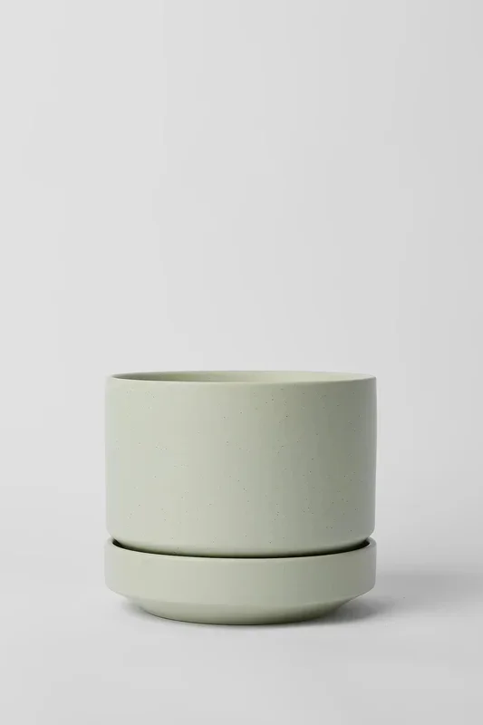 Round Two Planter Mint 6″