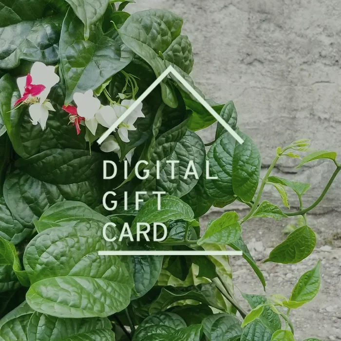 Sprout Home Gift Card