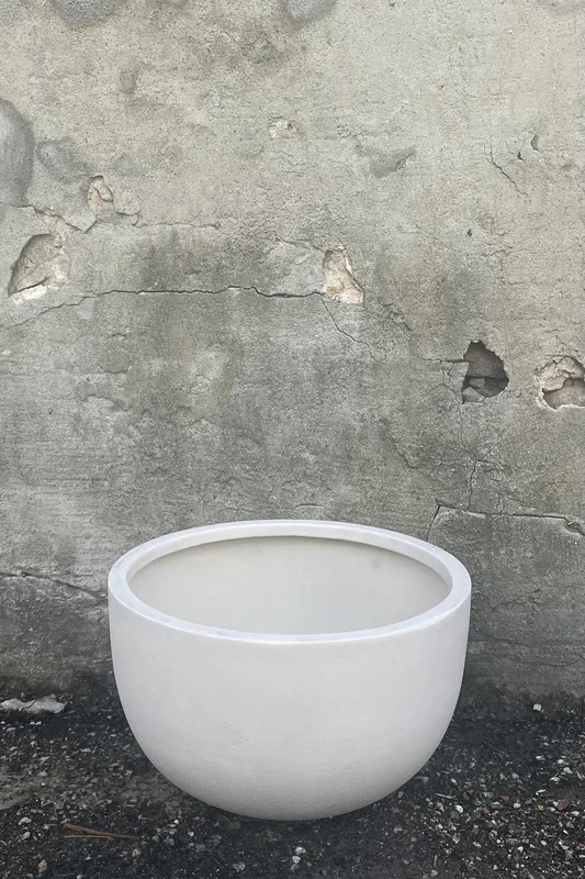 Sunny Bowl Natural White Medium
