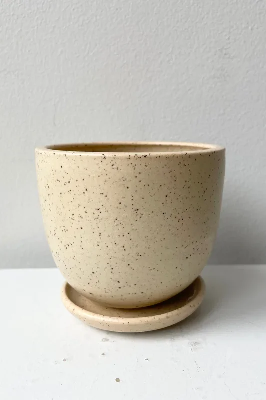 Tabletop Planter & Saucer Butter Speckle Small