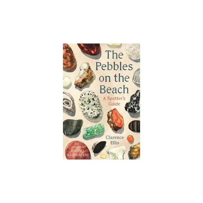 The Pebbles on the Beach: A Spotter’s Guide