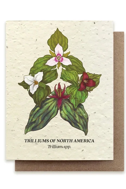Trillium Compass Seeded Paper Card