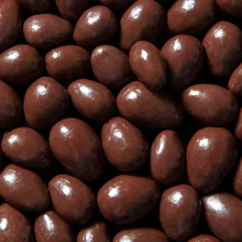 Woodstock – Almonds Dark Chocolate, 20 lb Case – Kosher Snack from USA