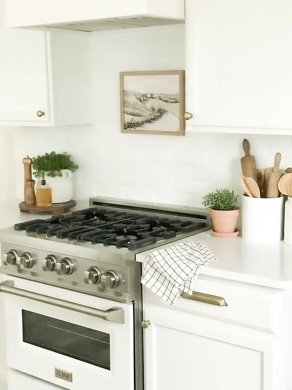 ZLINE Kitchen and Bath 30 in. Professional Gas Burner/Electric Oven Stainless Steel Range with White Matte Door, RA-WM-30